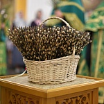 В Троицком соборе Яранска прошли богослужения Вербного воскресенья